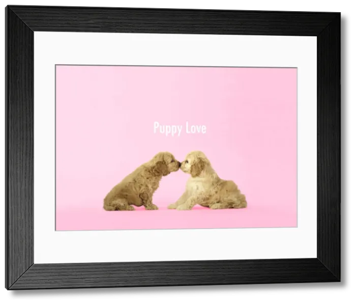 Framed Print : Picture No. 11993298 Framed Print : Picture No. 11993298
