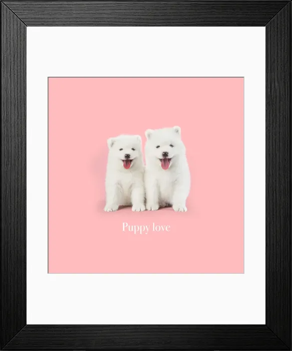 Framed Print : Picture No. 11993326 Framed Print : Picture No. 11993326