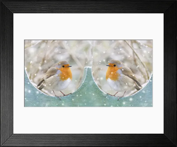 Framed Print : Picture No. 11993332 Framed Print : Picture No. 11993332