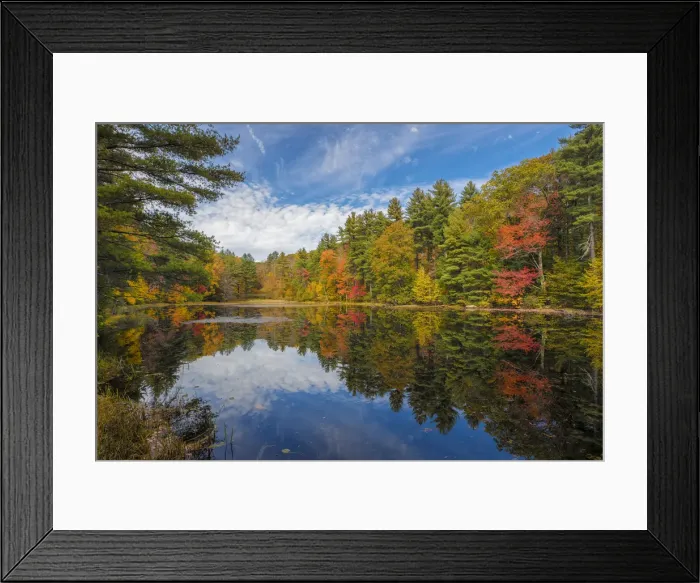 Framed Print : Picture No. 11992512 Framed Print : Picture No. 11992512