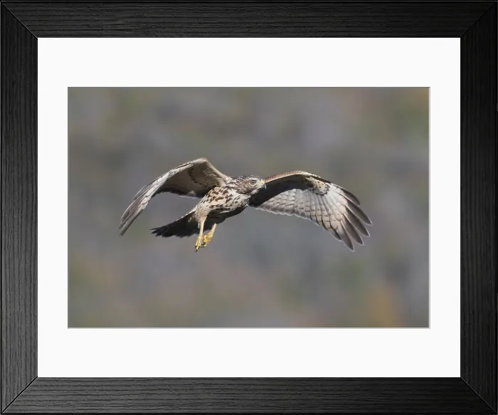 Framed Print : Picture No. 11992522 Framed Print : Picture No. 11992522