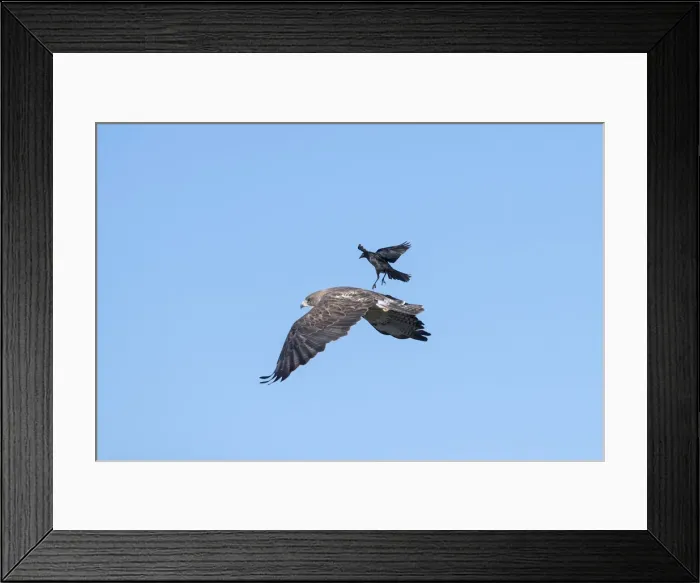 Framed Print : Picture No. 11992540 Framed Print : Picture No. 11992540