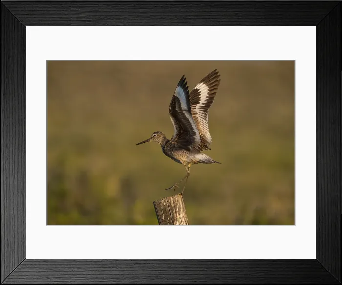 Framed Print : Picture No. 11992547 Framed Print : Picture No. 11992547