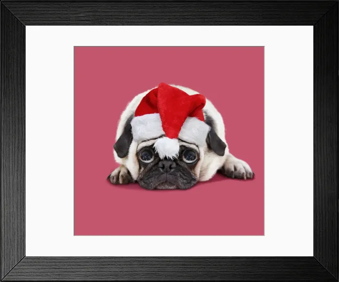 Framed Print : Picture No. 11992888 Framed Print : Picture No. 11992888