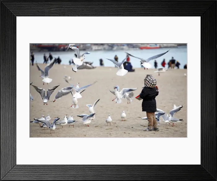 Framed Print : Picture No. 11993289