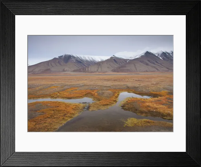 Framed Print : Picture No. 11992143 Framed Print : Picture No. 11992143