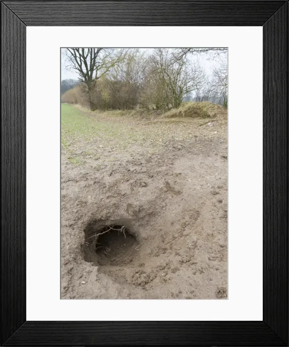 Framed Print : Picture No. 11992147 Framed Print : Picture No. 11992147