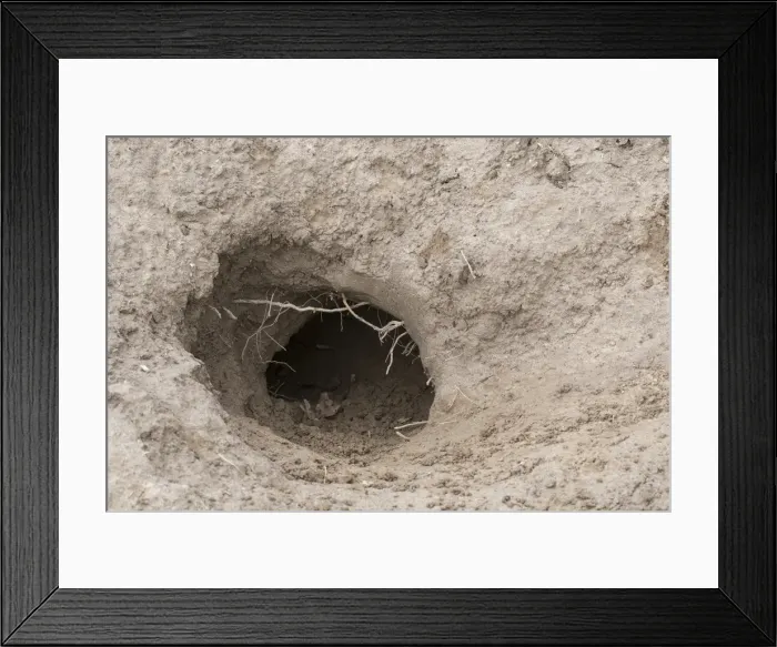 Framed Print : Picture No. 11992148 Framed Print : Picture No. 11992148