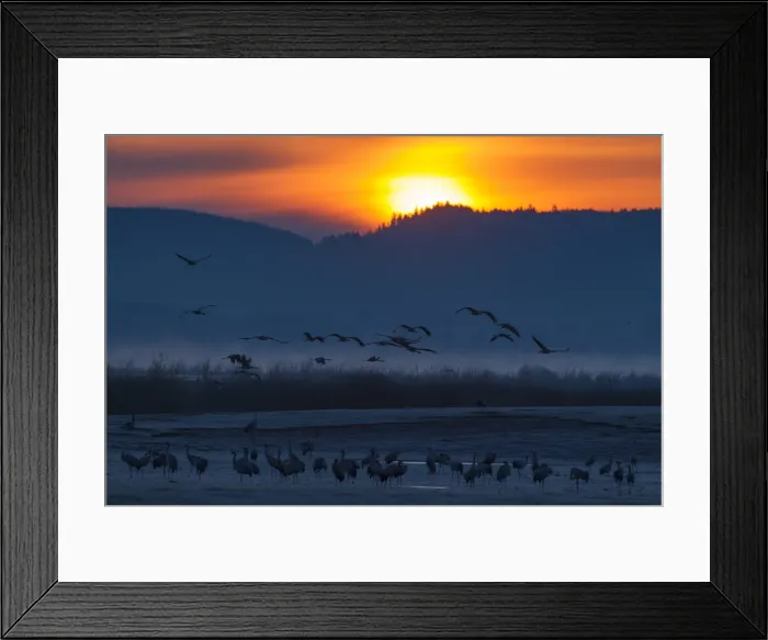 Framed Print : Picture No. 11992154 Framed Print : Picture No. 11992154