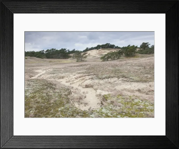 Framed Print : Picture No. 11992170 Framed Print : Picture No. 11992170