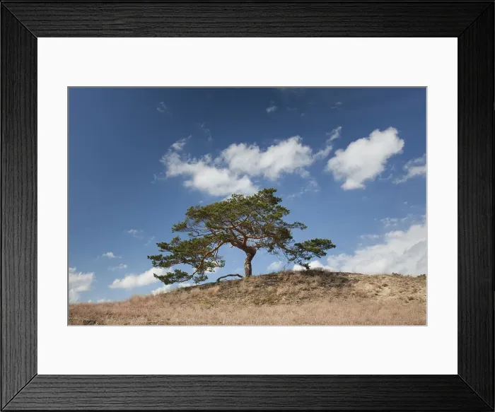 Framed Print : Picture No. 11992171 Framed Print : Picture No. 11992171