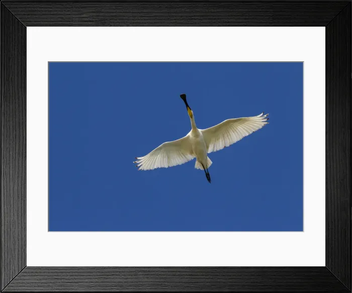 Framed Print : Picture No. 11992173 Framed Print : Picture No. 11992173