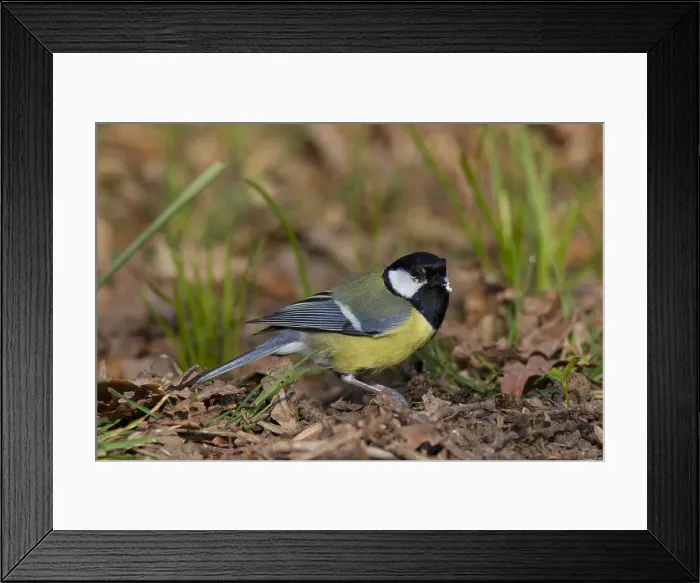 Framed Print : Picture No. 11992196 Framed Print : Picture No. 11992196