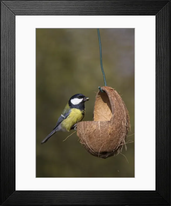 Framed Print : Picture No. 11992197 Framed Print : Picture No. 11992197