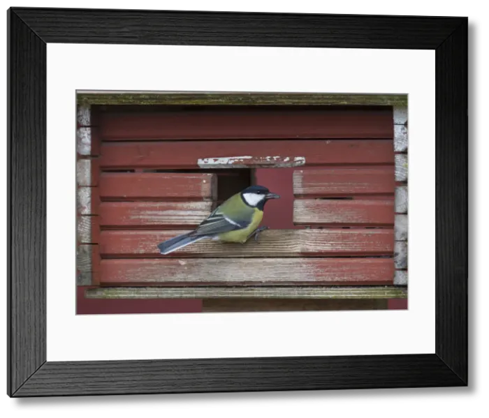 Framed Print : Picture No. 11992198 Framed Print : Picture No. 11992198