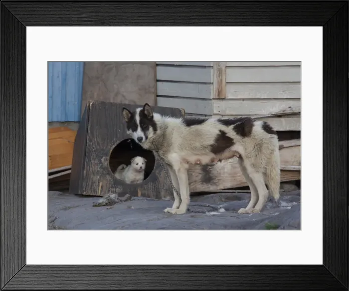 Framed Print : Picture No. 11992204 Framed Print : Picture No. 11992204