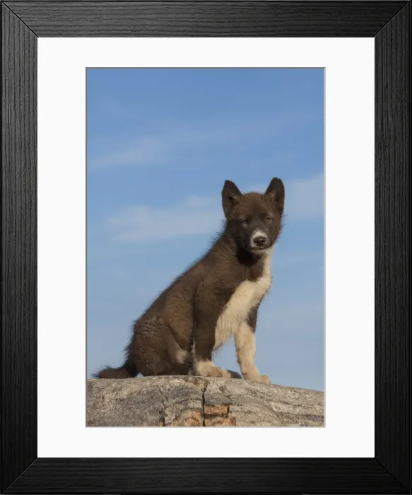 Framed Print : Picture No. 11992209 Framed Print : Picture No. 11992209