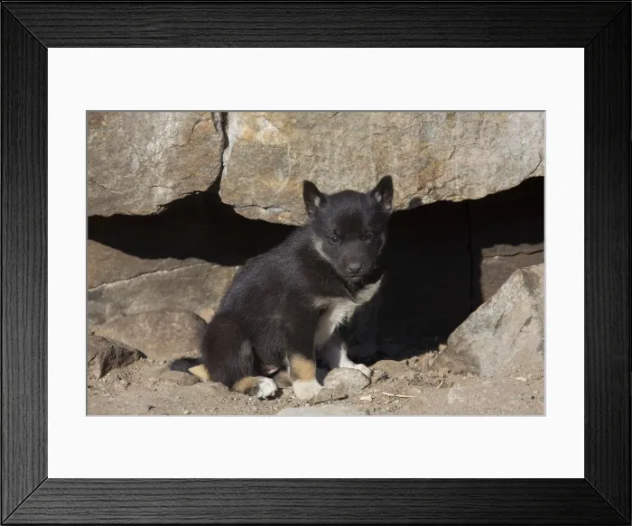 Framed Print : Picture No. 11992210 Framed Print : Picture No. 11992210