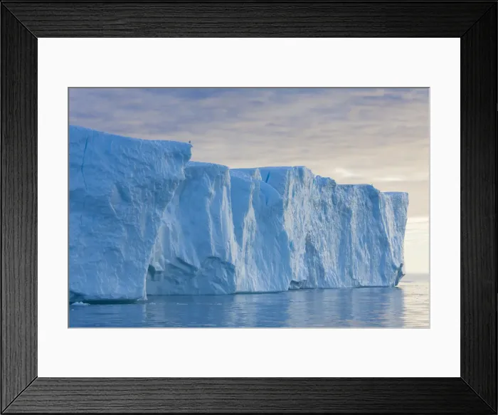 Framed Print : Picture No. 11992259 Framed Print : Picture No. 11992259