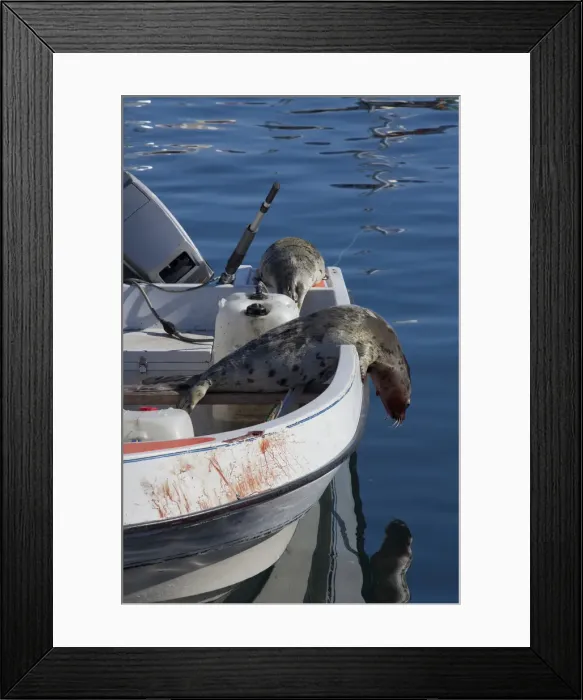 Framed Print : Picture No. 11992344 Framed Print : Picture No. 11992344