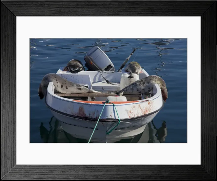 Framed Print : Picture No. 11992345