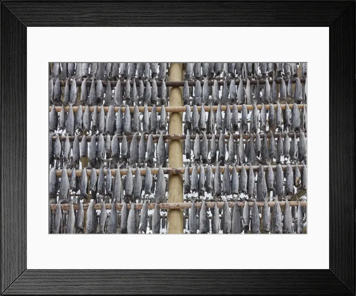 Framed Print : Picture No. 11992347 Framed Print : Picture No. 11992347