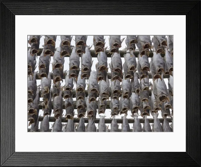 Framed Print : Picture No. 11992351 Framed Print : Picture No. 11992351