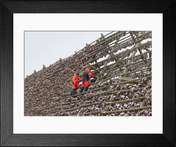 Framed Print : Picture No. 11992352 Framed Print : Picture No. 11992352