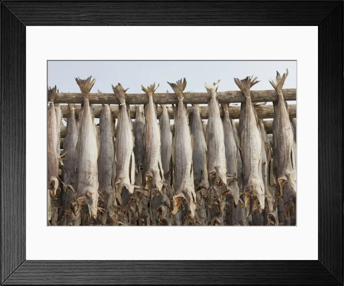 Framed Print : Picture No. 11992353 Framed Print : Picture No. 11992353