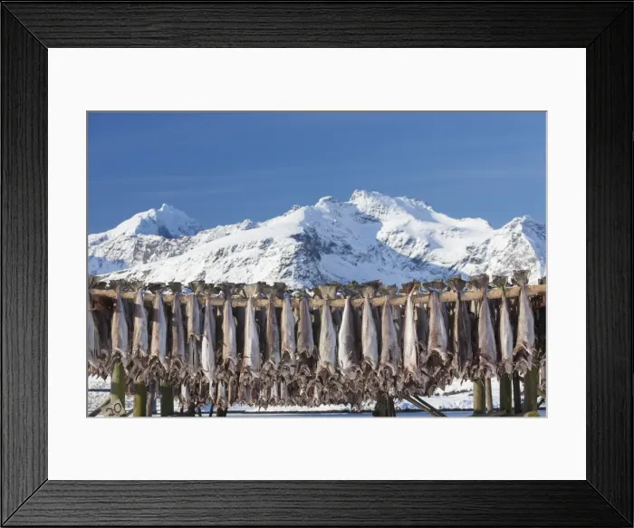 Framed Print : Picture No. 11992355 Framed Print : Picture No. 11992355