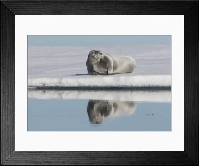 Framed Print : Picture No. 11992381 Framed Print : Picture No. 11992381