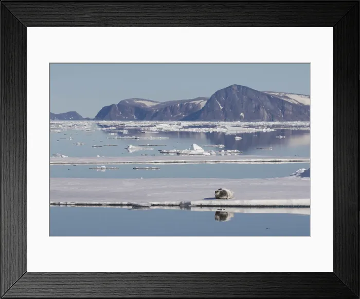 Framed Print : Picture No. 11992382 Framed Print : Picture No. 11992382