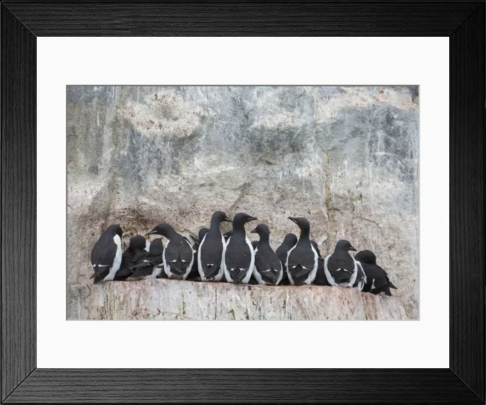 Framed Print : Picture No. 11992387 Framed Print : Picture No. 11992387