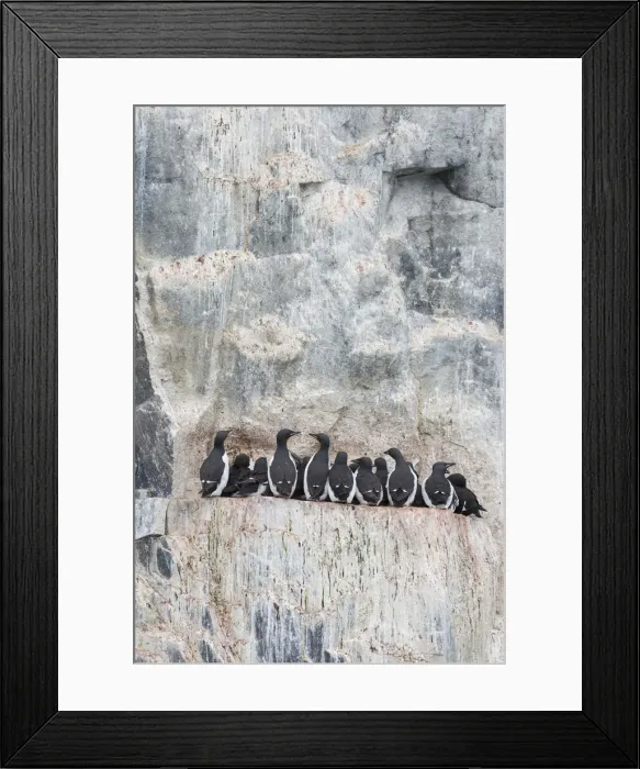 Framed Print : Picture No. 11992388 Framed Print : Picture No. 11992388