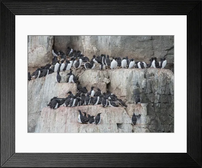 Framed Print : Picture No. 11992389 Framed Print : Picture No. 11992389