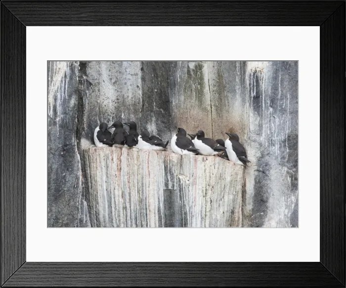 Framed Print : Picture No. 11992390 Framed Print : Picture No. 11992390