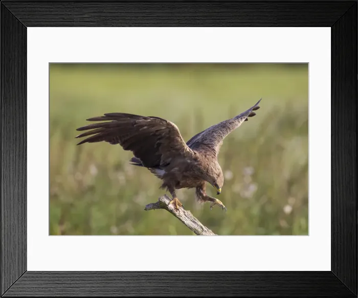 Framed Print : Picture No. 11992405 Framed Print : Picture No. 11992405