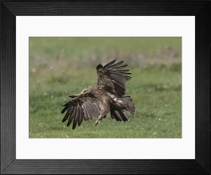 Framed Print : Picture No. 11992407 Framed Print : Picture No. 11992407