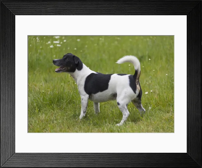 Framed Print : Picture No. 11992933 Framed Print : Picture No. 11992933