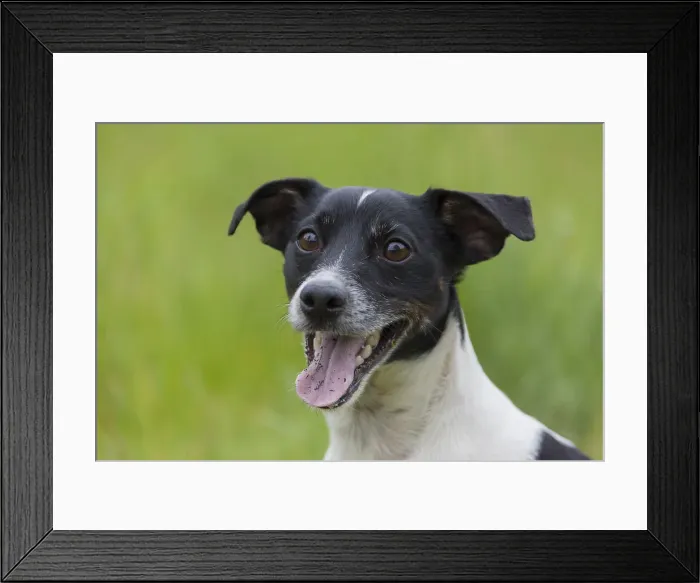 Framed Print : Picture No. 11992934 Framed Print : Picture No. 11992934