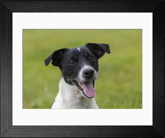 Framed Print : Picture No. 11992935 Framed Print : Picture No. 11992935
