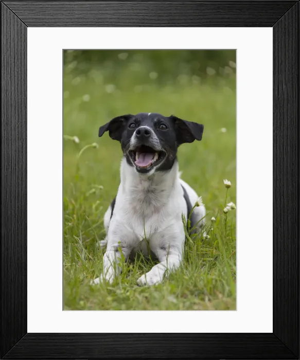 Framed Print : Picture No. 11992936 Framed Print : Picture No. 11992936