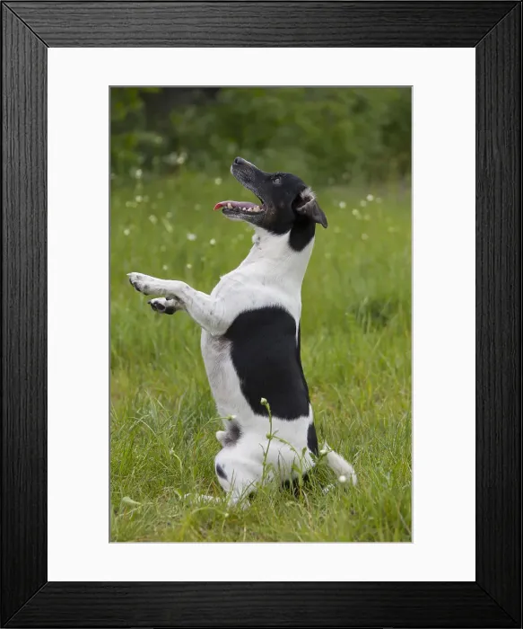 Framed Print : Picture No. 11992937 Framed Print : Picture No. 11992937