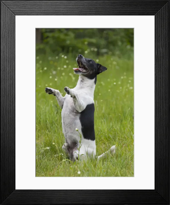 Framed Print : Picture No. 11992938 Framed Print : Picture No. 11992938