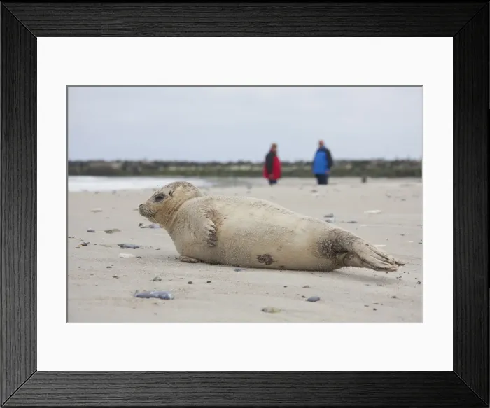 Framed Print : Picture No. 11992952 Framed Print : Picture No. 11992952