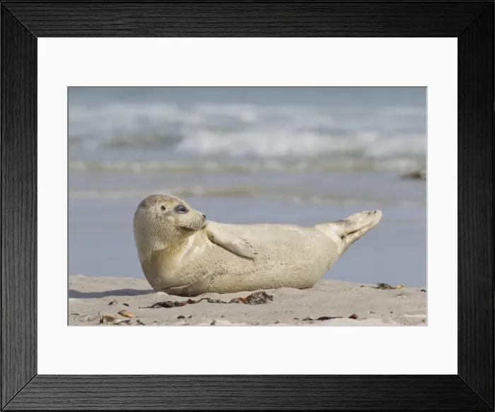 Framed Print : Picture No. 11992953 Framed Print : Picture No. 11992953
