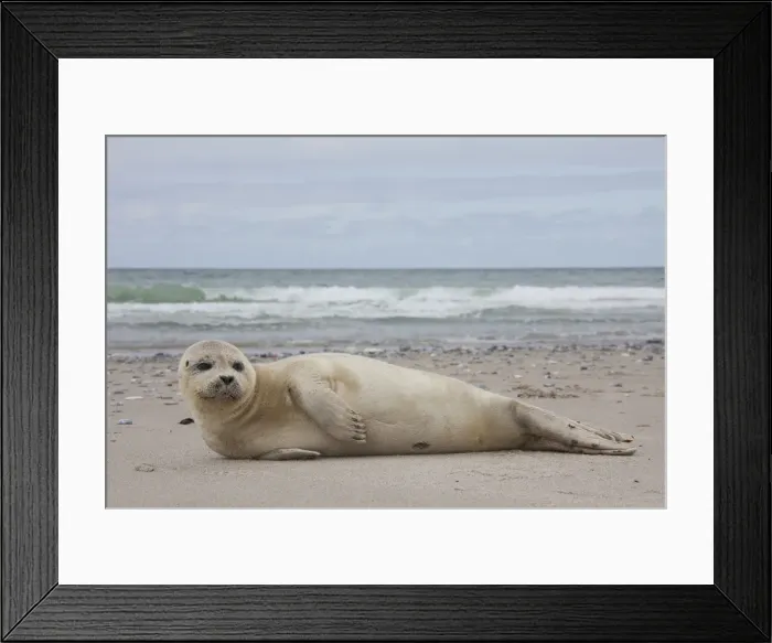 Framed Print : Picture No. 11992954 Framed Print : Picture No. 11992954