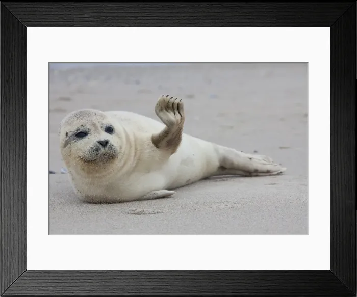 Framed Print : Picture No. 11992955 Framed Print : Picture No. 11992955
