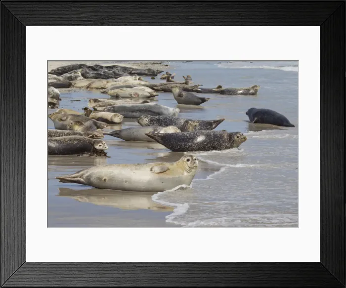 Framed Print : Picture No. 11992957 Framed Print : Picture No. 11992957