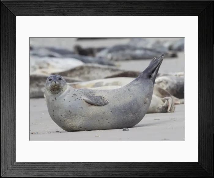 Framed Print : Picture No. 11992958 Framed Print : Picture No. 11992958